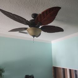 Ceiling Fan