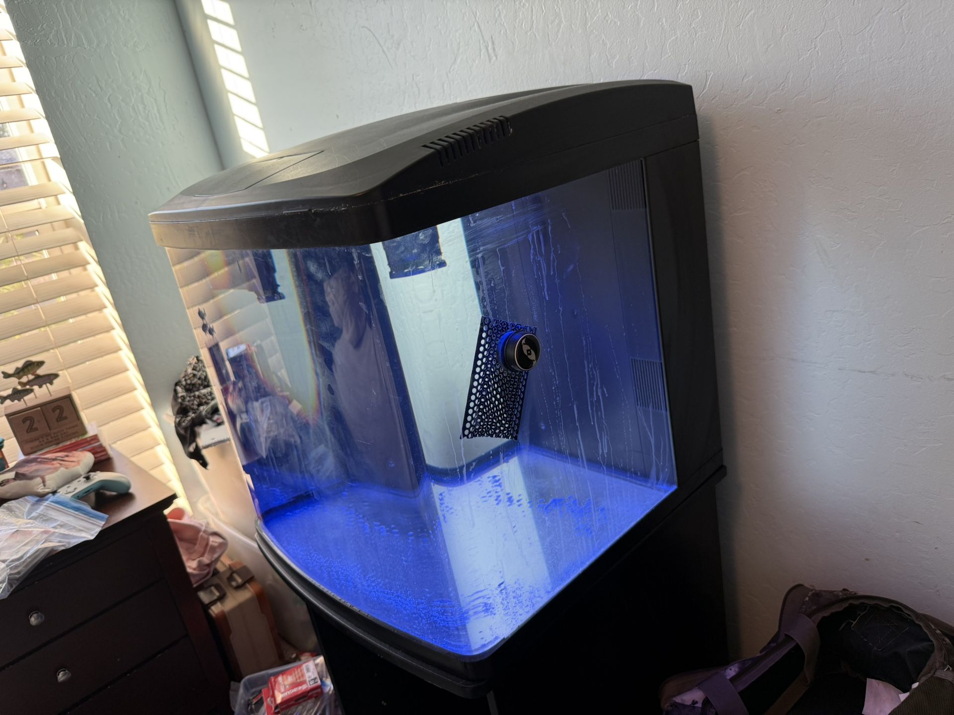 Saltwater 32 Gallon Fish Tank