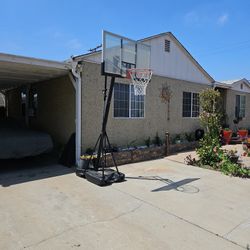 Portable Basketball Hoop