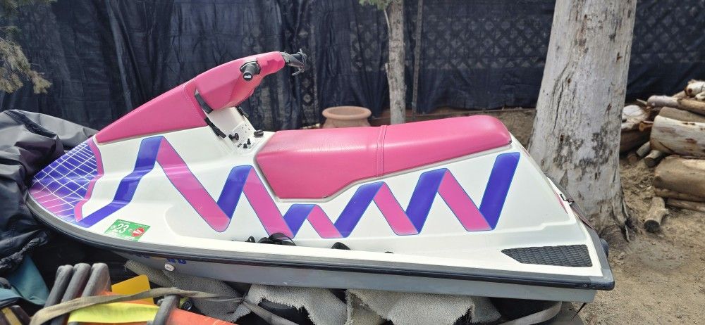 Pink Flamingo Seadoo