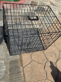 Dog Kennel