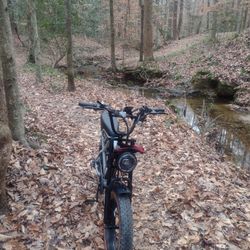 Dual Motor 1,000 Watt E-bike Plus Extra Battery
