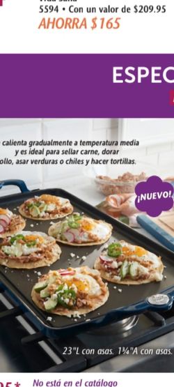 Comal Doble de hierro forjado princess house