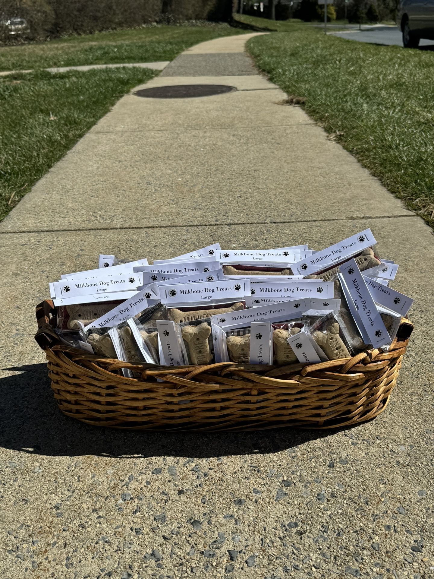 Basket Of Dog Treats