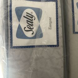 Sealy Twin Mattress 