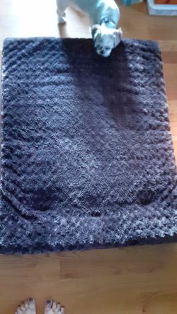 Extra large dog bed. 34" by 43"