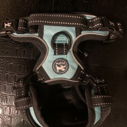 Small Dog Harness 