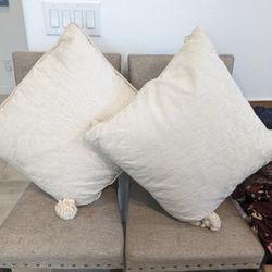 Two Big Size Cushions 