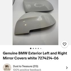 BMW F30 Mirror Cover 