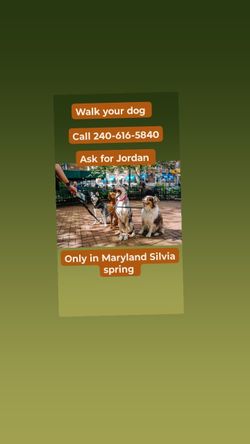 We Walk Your Dog For $20 An Hour 