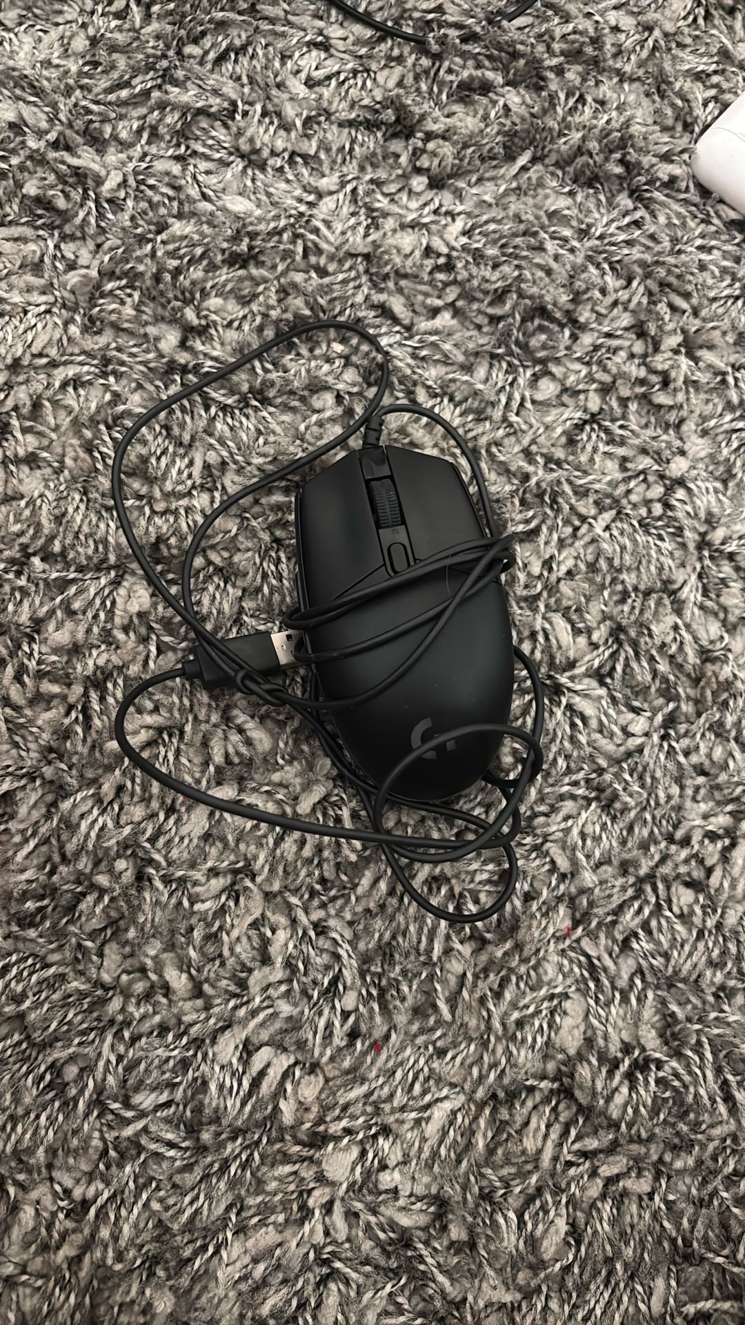 computer mouse