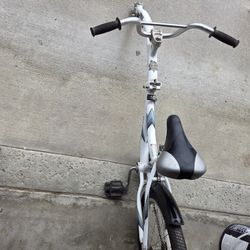 Bike Trailer 20 Inch 