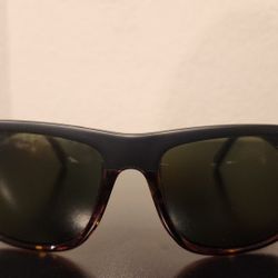 Electric Swingarm XL