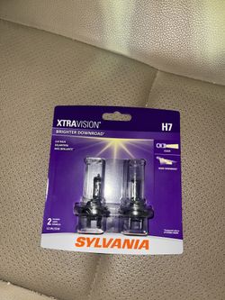 Low Beam headlights