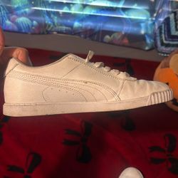 White (used) Pumas