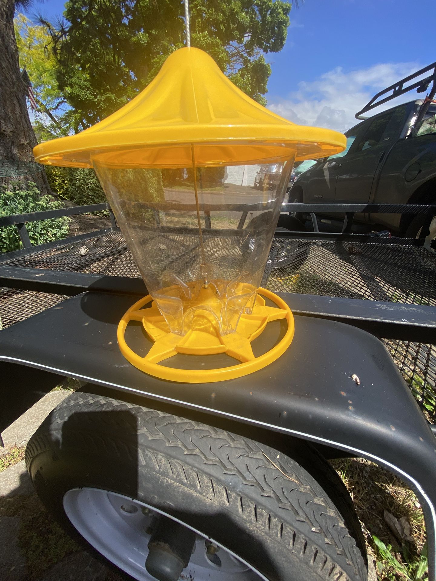 Hanging Seed Feeder For Birds
