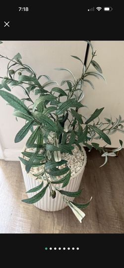 Artificial 🫒 Plant With Vase