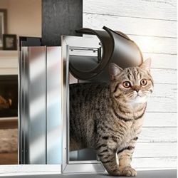 New Cat Door for Wall, Small Pet Door, Heavy Duty Doggy Door, All Aluminum Frame, 2 Magnetic Flaps, Energy Efficient, Telescoping Tunnel, Sliding Lock