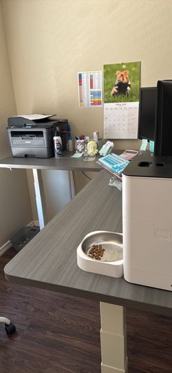 Large Desk (stand up desk)