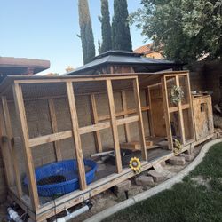 Duck Coop