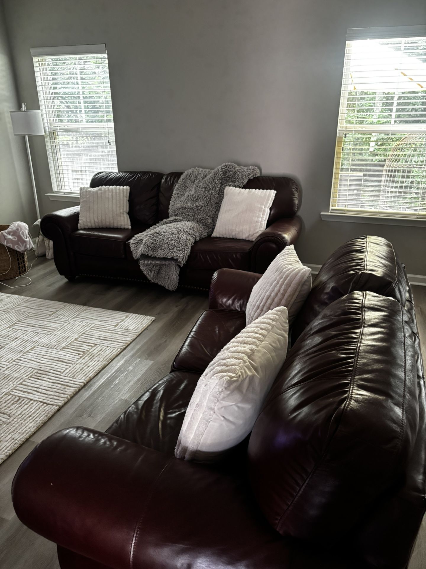 Leather Sofas