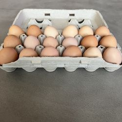 Organic Eggs 