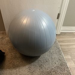 Workout Ball / Pregnancy Ball