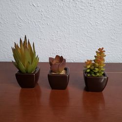 3 Small Artificial Succulents
