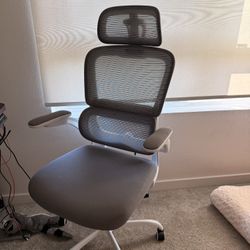 Office Adjustable desk and Chair 