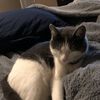 Lilah A