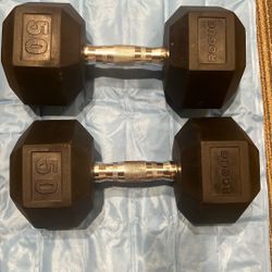 Rogue Fitness 50 lbs Dumbbells 