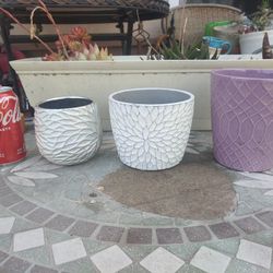 Flower Pots