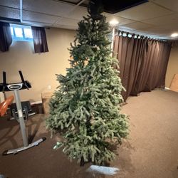 Christmas Tree 7 Foot