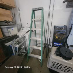 6ft Ladder