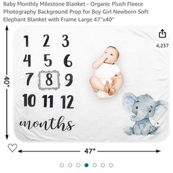 Baby Monthly Milestone 
