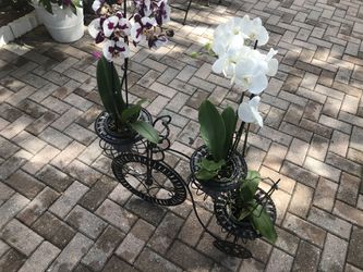 Beautiful Bicycle Flower Pot