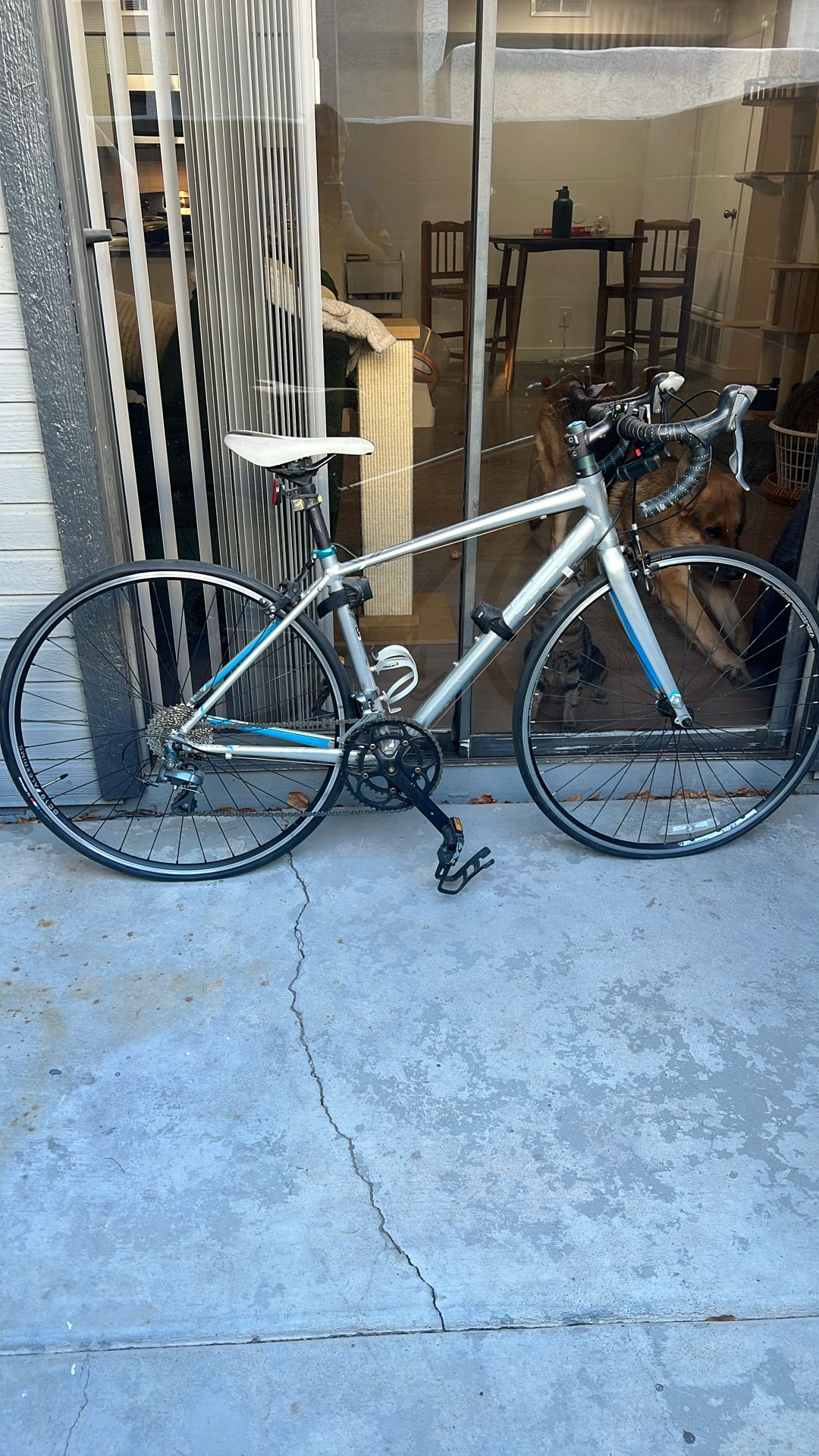 Lexa Trek Road bike 