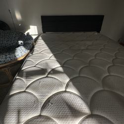 Full Size Bed + Mattress