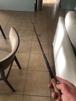 Daiwa sol ags braidx spinning rod