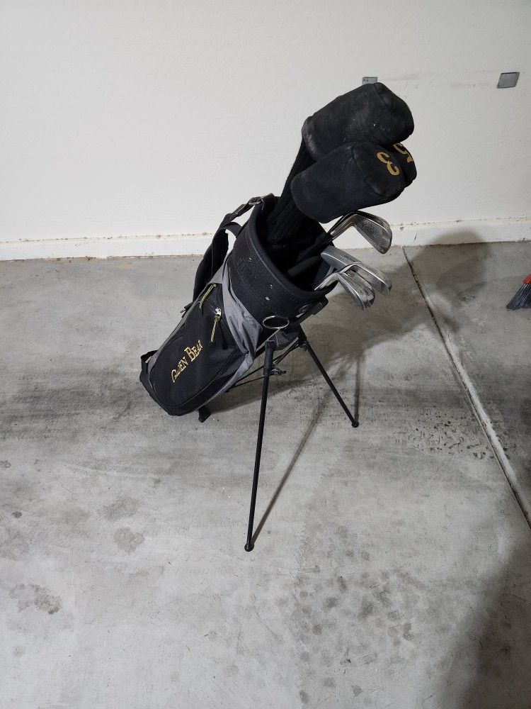 Golf Club Set. Golden Bear (Costco Brand)