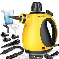 Steam Cleaner 