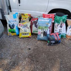 Farm Animal Feed