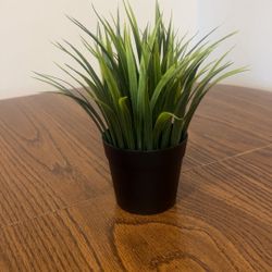IKEA Faux Plant 