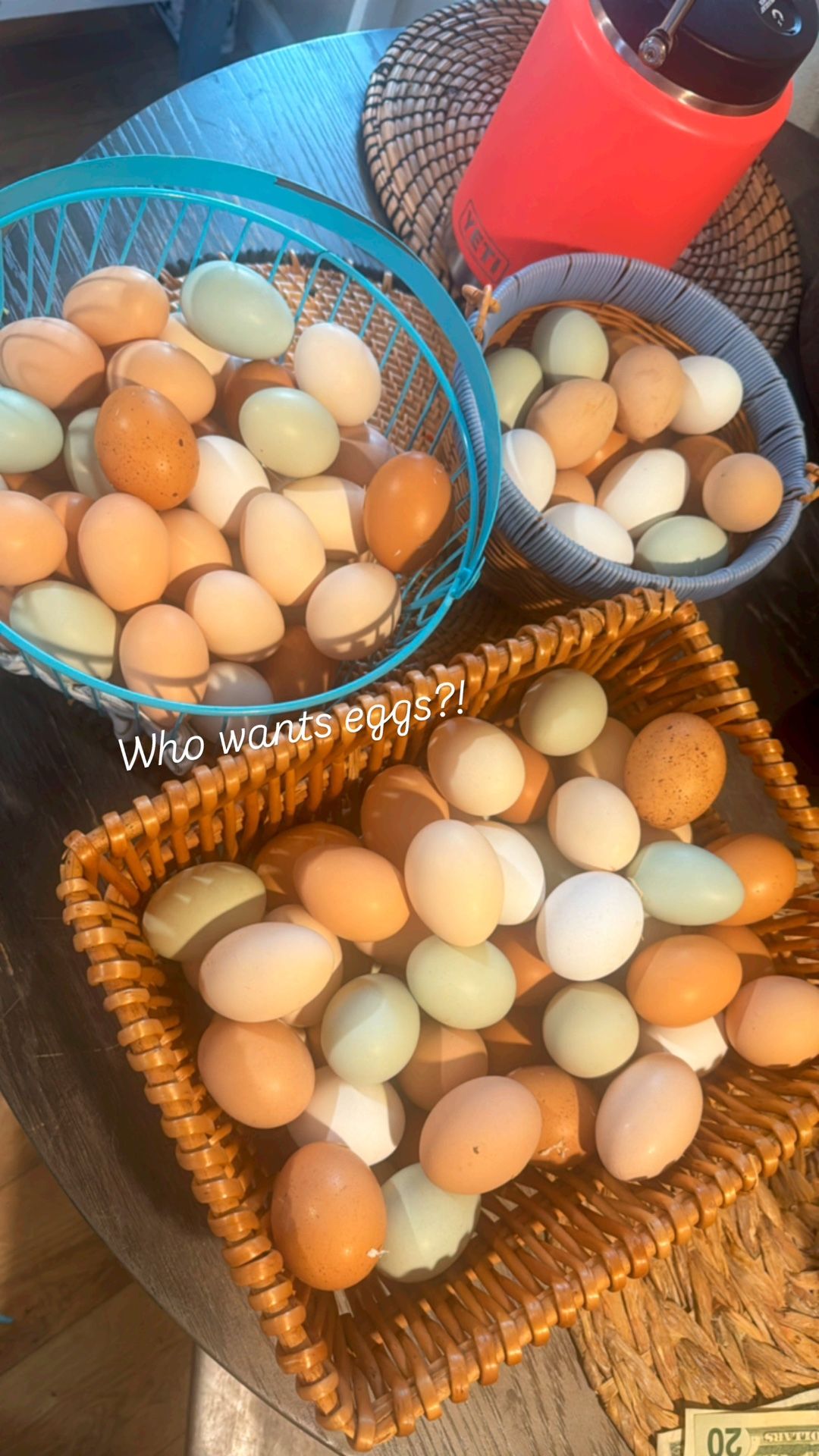Pasture Raised Eggs 🍳