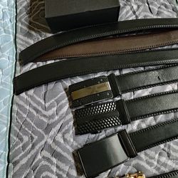 Belt and Buckle System