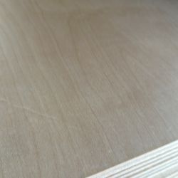 White Birch Plywood