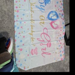 Gender Reveal Banner