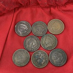 8 Consecutive Indian Head Pennies