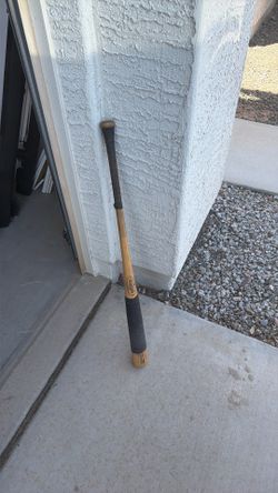 Fungo bat