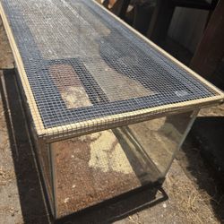 Reptile Tank